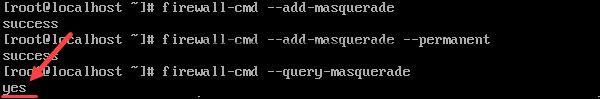 Check the masquerade was added to the runtime instance.